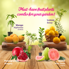 Must-Have Fruit Plants Combo for Your Garden