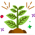 Exotic Flora