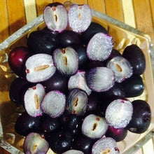 Seedless Jamun - Fruits Plant & tree