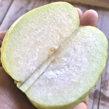 White Diamond Guava - Seedless Guava