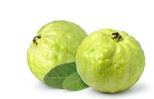 White Diamond Guava - Seedless Guava