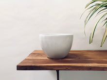 Echoing Eternity (Fat) - White