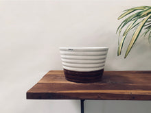 Love Bite Proto - White and Brown