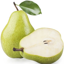 Babugosha/Indian Pear - Fruit Plants & Tree - Exotic Flora