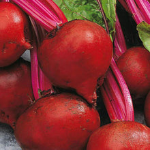 Beet Madhur-Vegetable Seeds - Exotic Flora