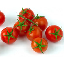 Cherry Tomato-Vegetable Seeds - Exotic Flora