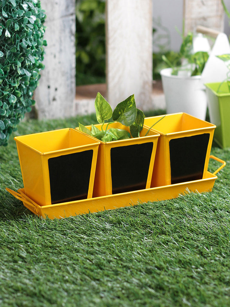 Set of three Chalk Board Painted Herb Pots Yellow– Exotic Flora