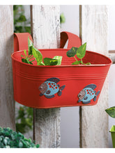 Fish Tub Red
