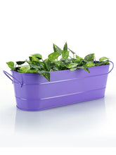 Oval Planter Large Purple