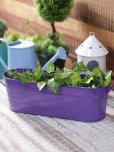 Oval Planter Large Purple