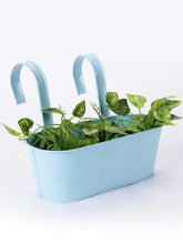 Oval Railing Plnater Big Blue