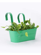 Oval Railing Planter Big Green