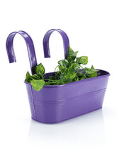 Oval Railing Planter Big Purple