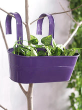 Oval Railing Planter Big Purple