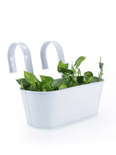 Oval Railing Planter Big White