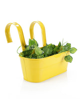 Oval Railing Planter Big Yellow