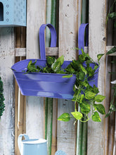 Oval Railing Planter Large Purple