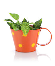 Polka Cup Small Orange