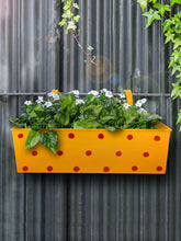 Polka Dot Rectangle Planter Yellow
