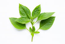 Basil-Vegetable Seeds