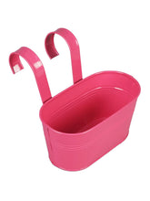 Set of two Oval Railling Planter Small Blue & Pink