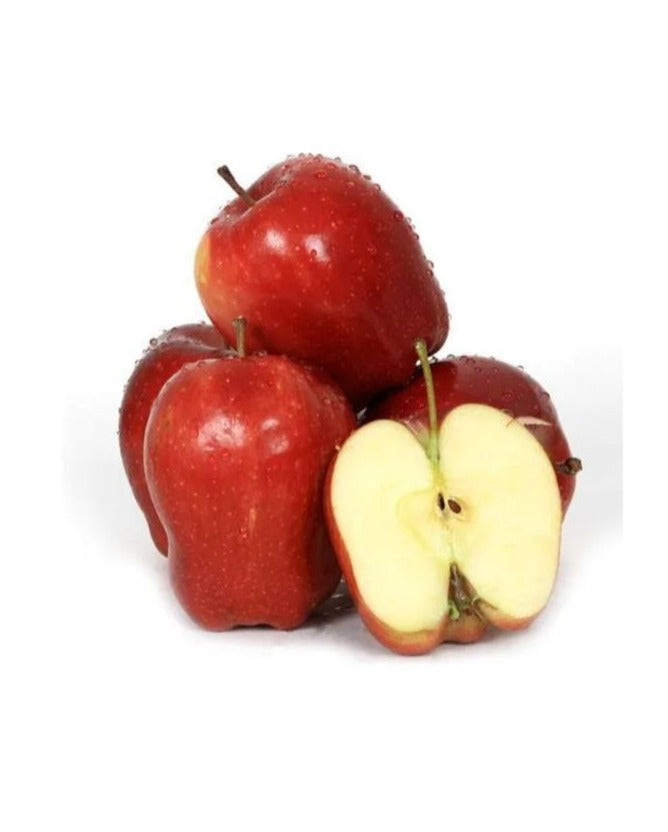 Apple Red (Grafted) HRNM 99- Fruit Plants & Tree– Exotic Flora