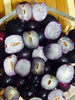 Seedless Jamun - Fruits Plant & tree