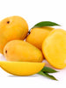 Mango Kesar (Grafted)- Fruit Plants & Tree