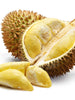 Durian Fruit - Fruit Plants & Tree - Exotic Flora