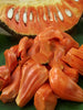 Jack Fruit Red/Red panasa (Grafted)- Fruit Plants