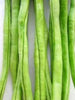 Cow peas- Vigna Unguiculata - Vegetables seeds - Exotic Flora