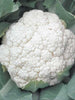 Cauliflower Shreya F1 HYB-Vegetable Seeds - Exotic Flora