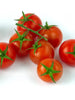 Cherry Tomato-Vegetable Seeds - Exotic Flora