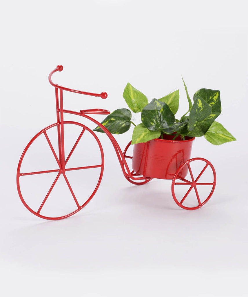 Small Cycle Planter Red– Exotic Flora