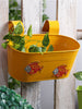 Fish Tub Yellow