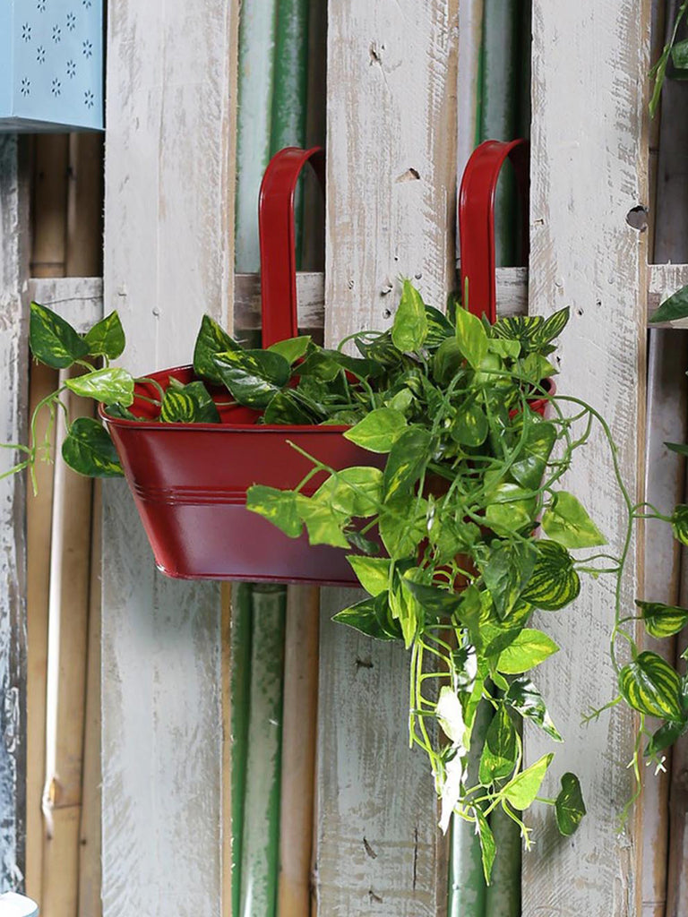 Oval Railing Planter Big Red– Exotic Flora