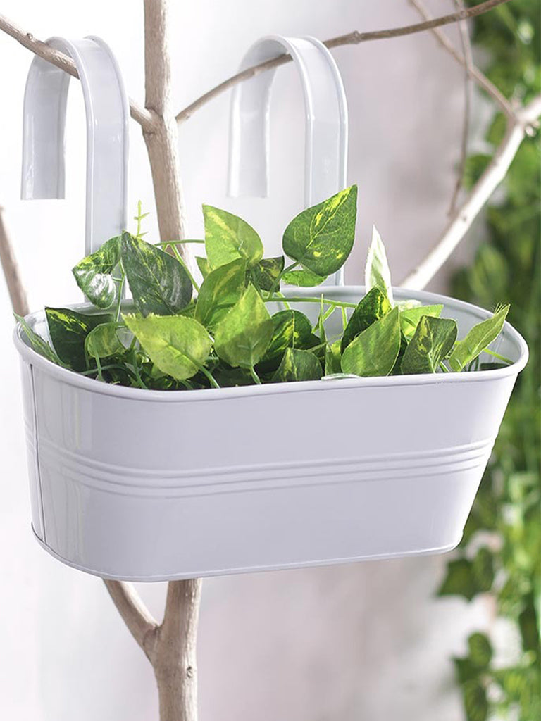 Oval Railing Planter Big White– Exotic Flora
