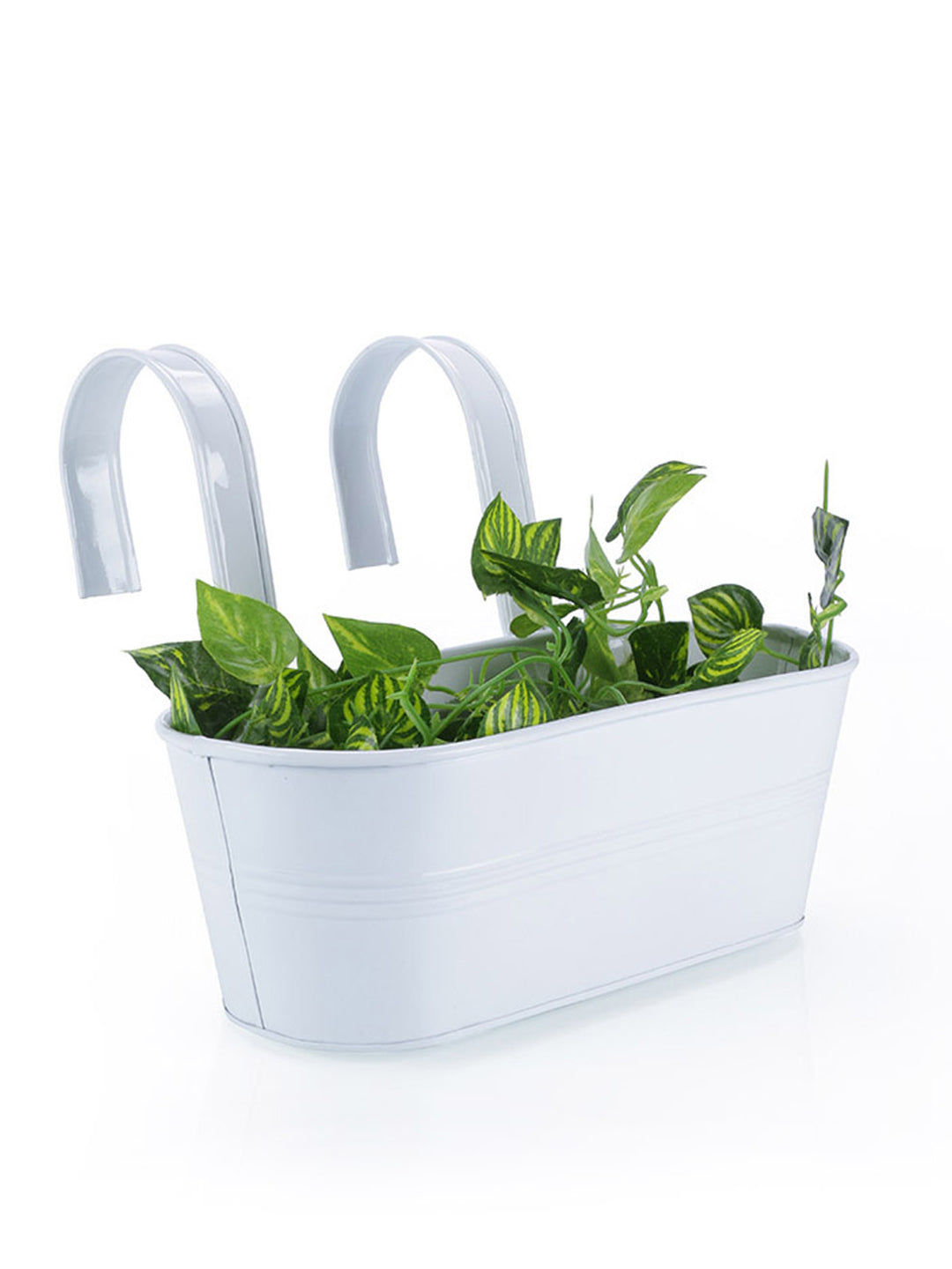 Oval Railing Planter Big White– Exotic Flora