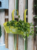 Oval Railing Planter Large Yellow