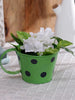 Polka Cup Small Green