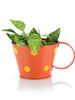 Polka Cup Small Orange