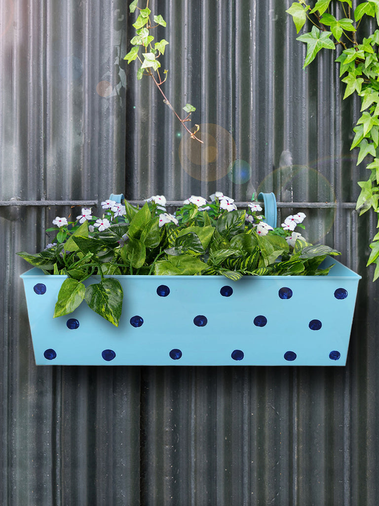 Polka Dot Rectangle Planter Blue – Exotic Flora