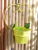 Wall Mounted Yellow Planter