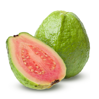 Guava Thai Red Flesh - Fruit Plants & Tree