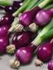 Onion - Allium Cepa - Vegetable seeds