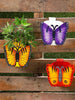 Set of Three Butterfly Railing planters