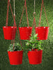Set of Five Hanging Bucket Red