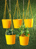 Set of Five Hanging Bucket Yellow