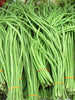 Yard Long Bean-Vegetable Seeds