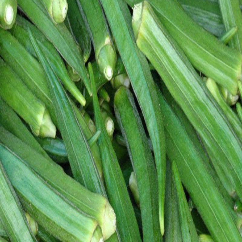 Bhendi / Okra-Vegetable Seeds– Exotic Flora